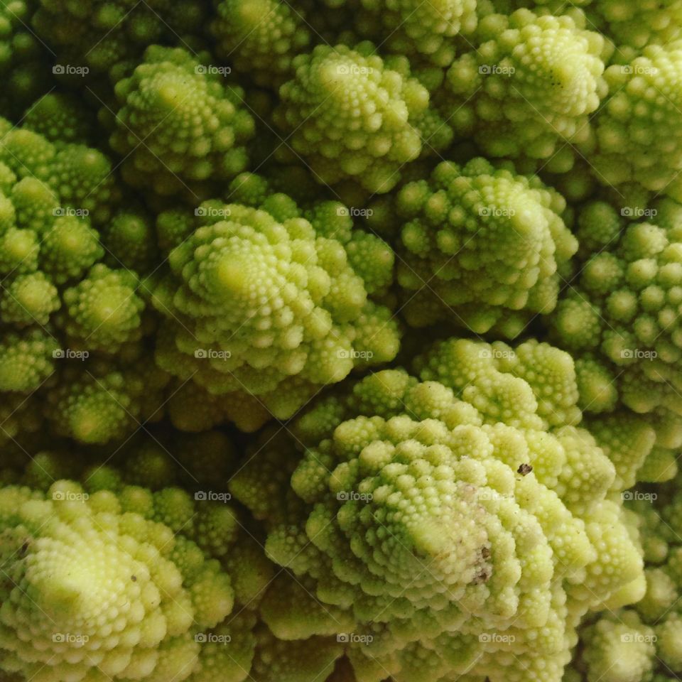 Romaine cauliflower vegetable close-up background 