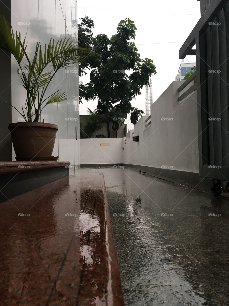 Rain Reflection 