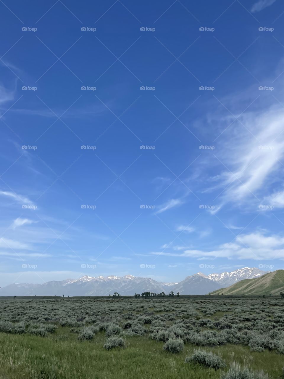 Blue sky skies Mountain view scenic Prairie Field bush bushes wilderness