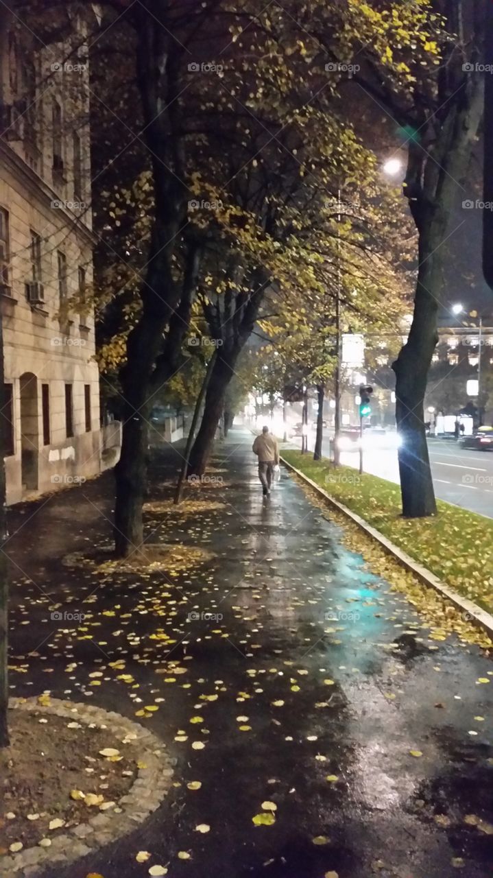 Autumn city street