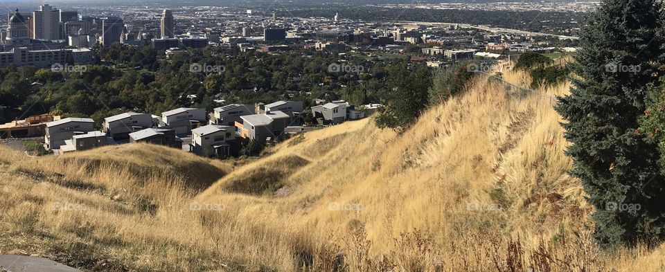 Slc from the hill