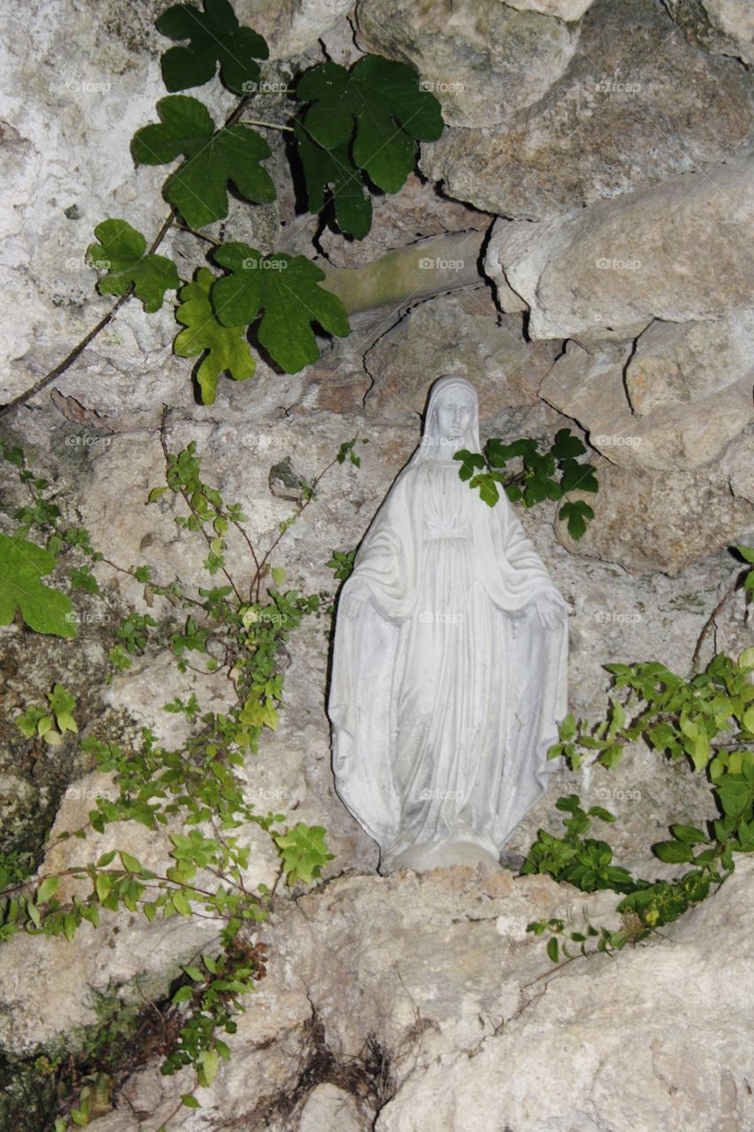 It is a statue of the Virgin Mary. The statue is in a cave in a town in Spain. Next to the statue there are also grown plants.