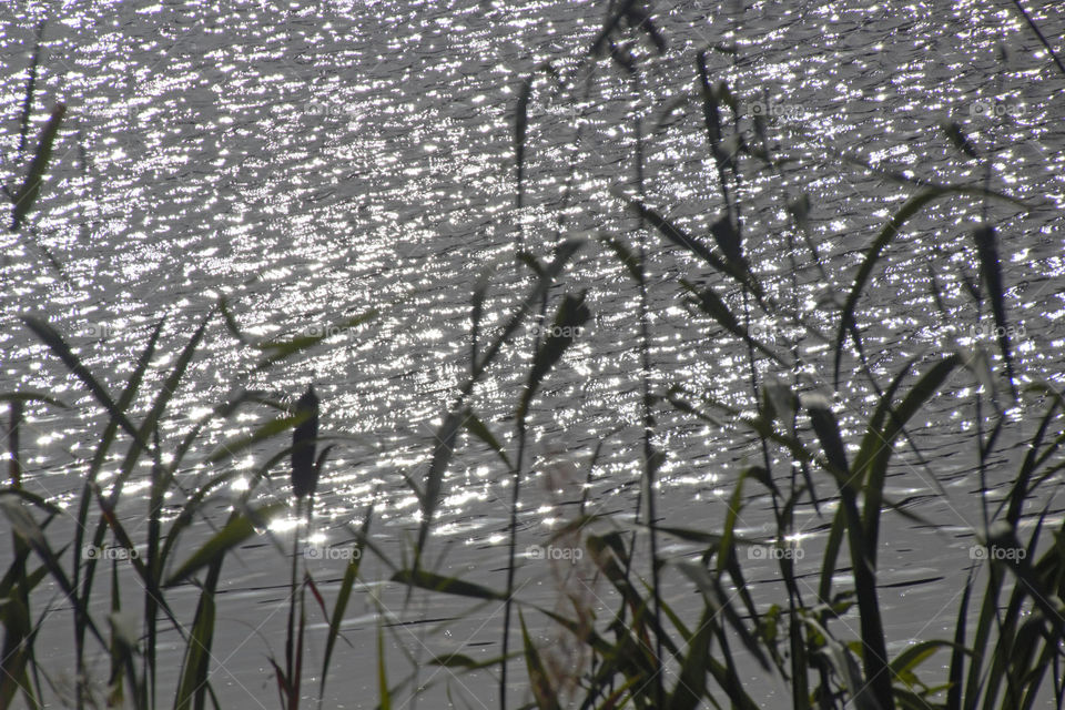 Sunlight reflections 