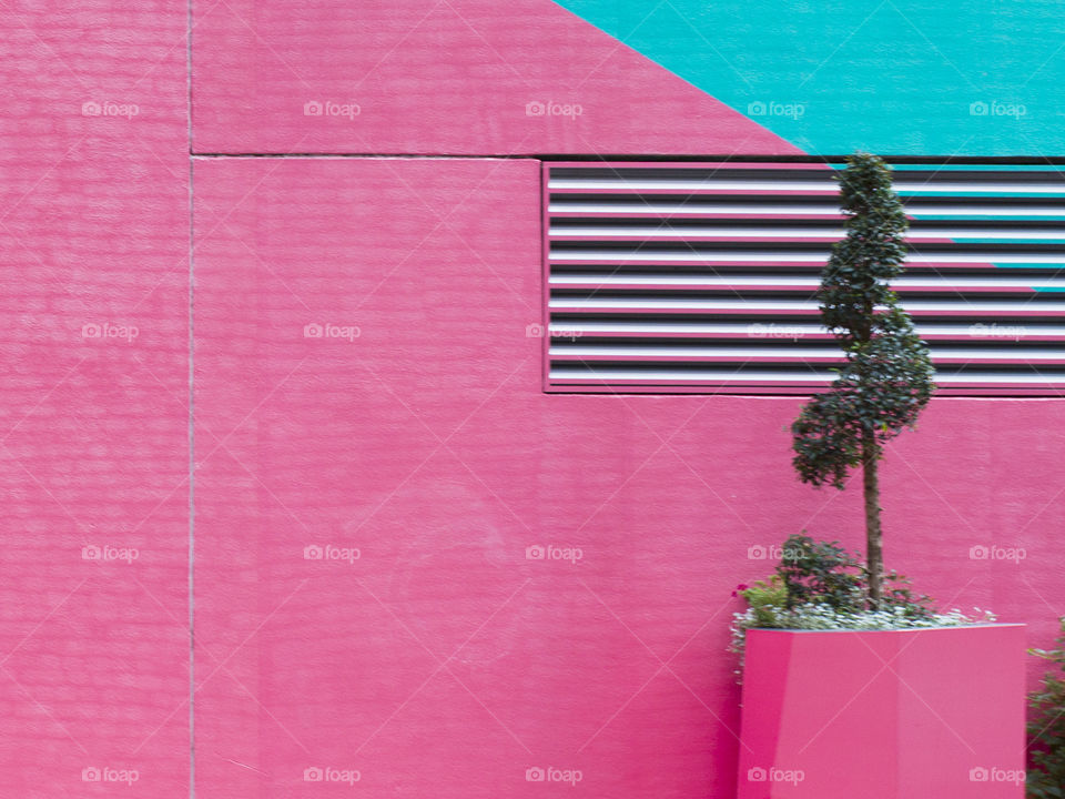 Pink and green wall building
