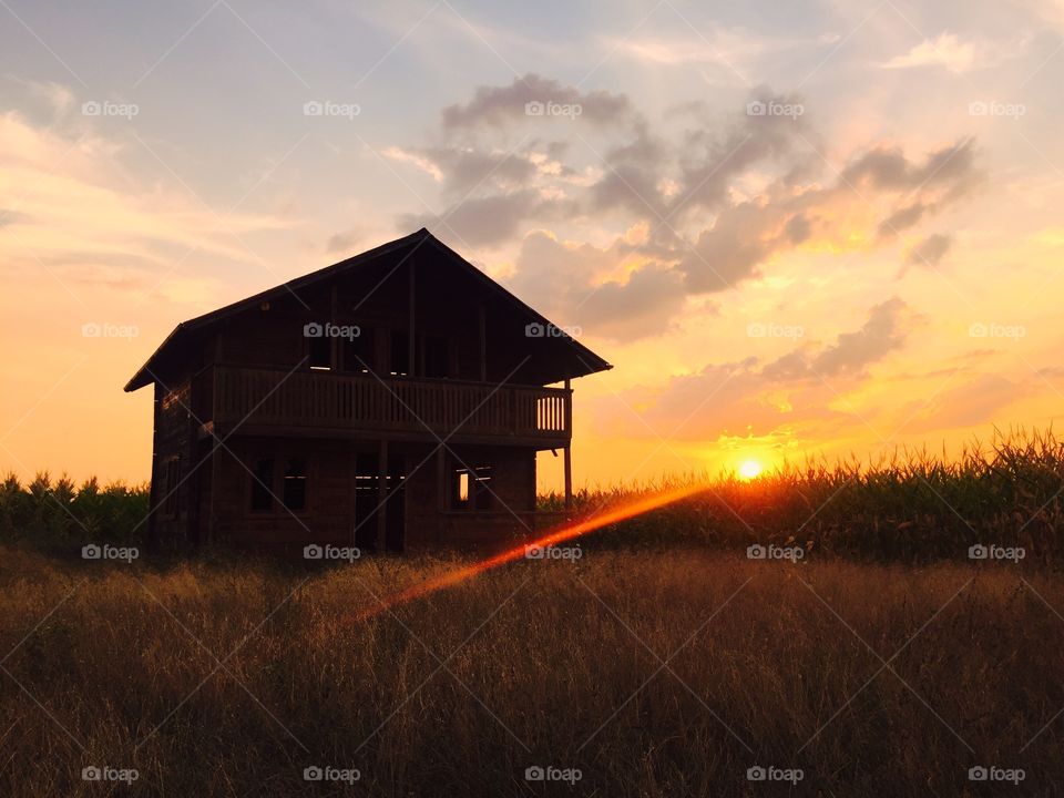 Abandoned house in corn field at sunset