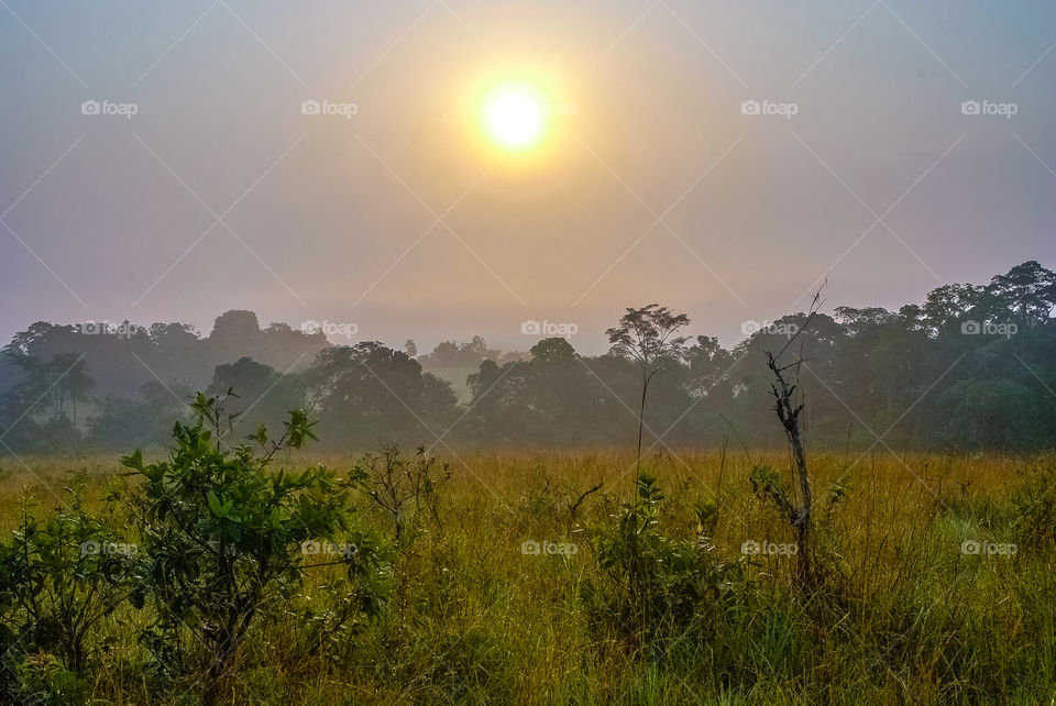 Entrance to Lope National Park, Gabon, early in the morning. 