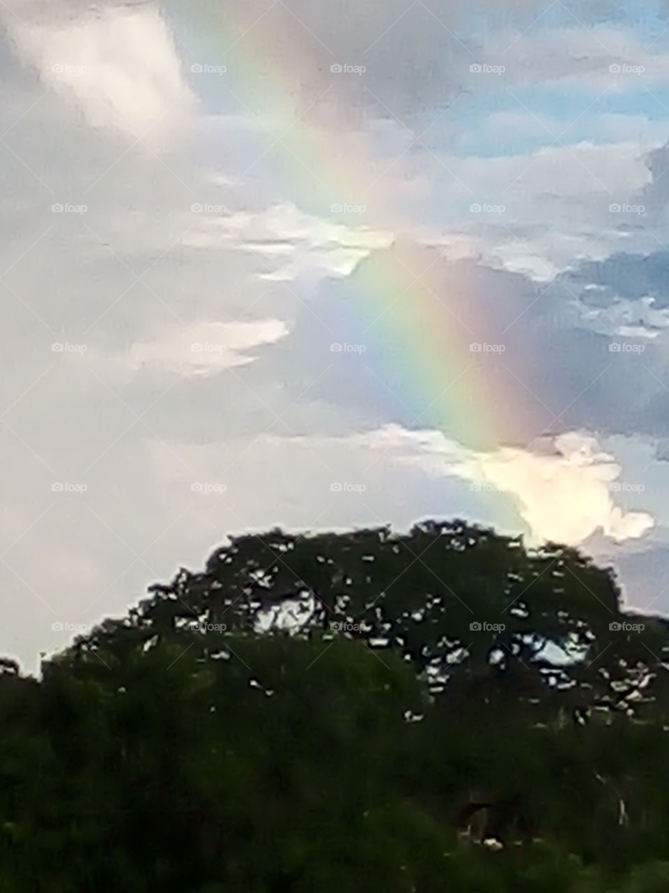 arco íris