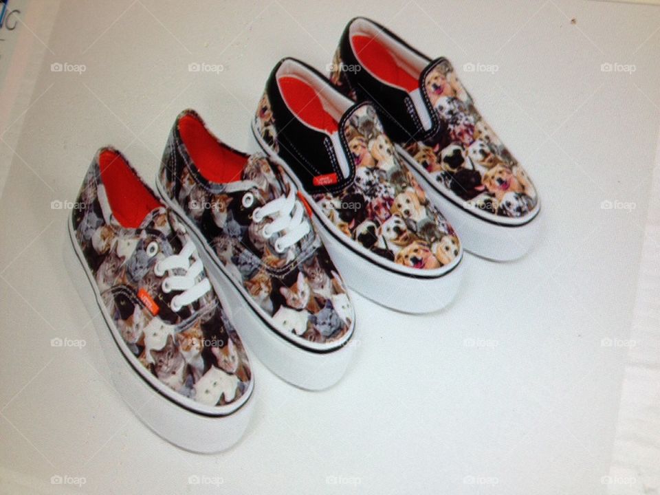 Vans Cats and Dogs