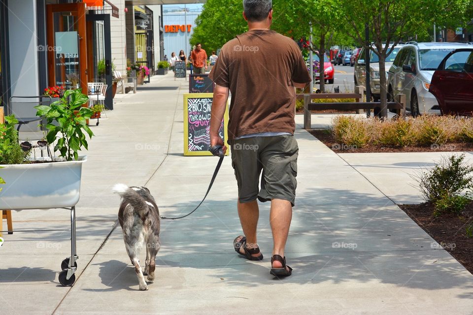 Dog and man on a walk