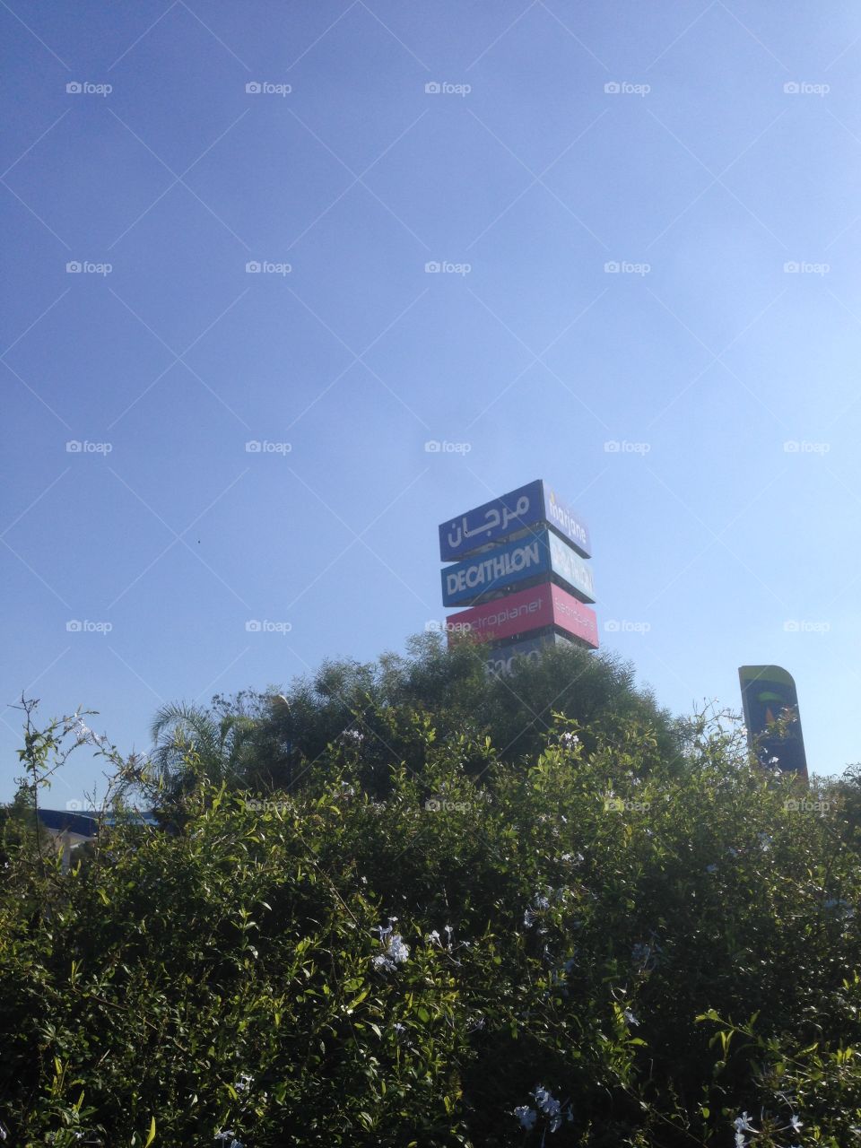 Marketing companies in Morocco