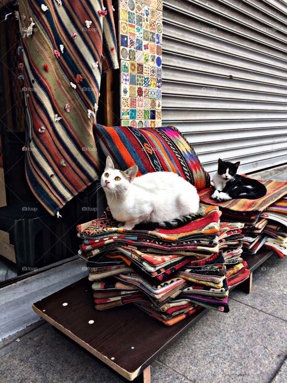 The View of Istanbul