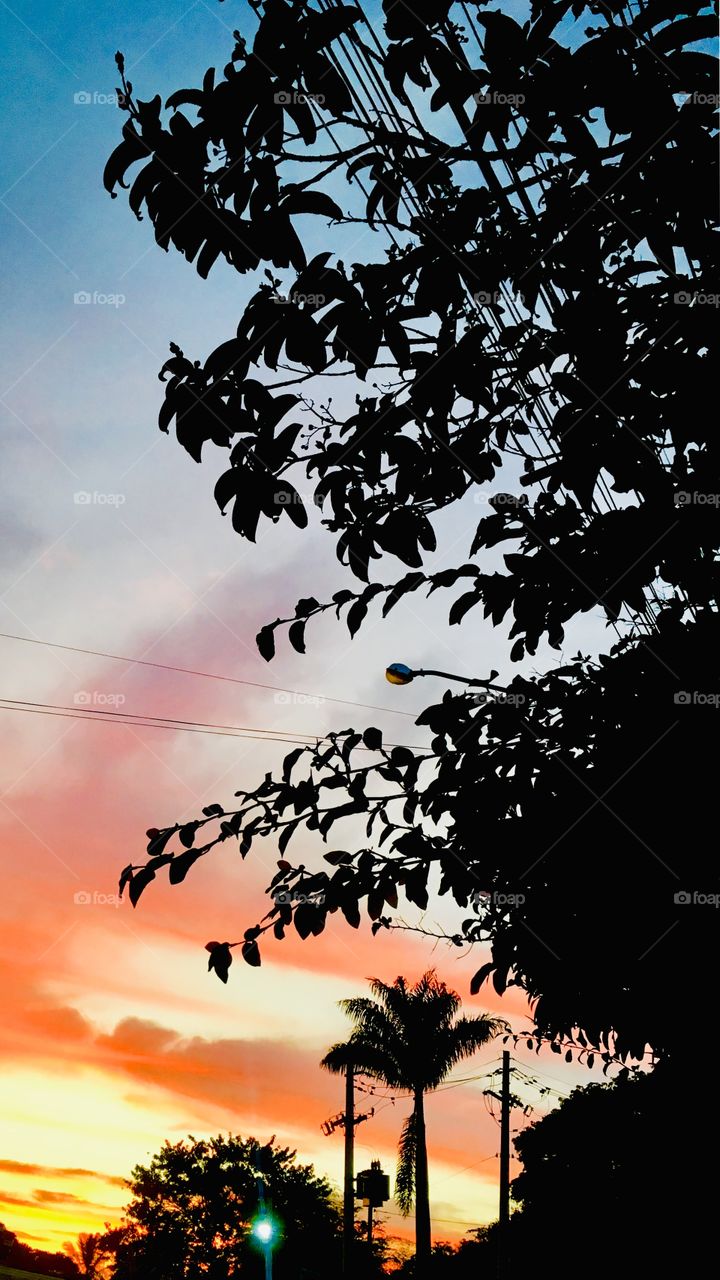 ‪Uia!‬
‪Alguém caprichou na pintura do #amanhecer, só para a #fotografia ficar legal.‬
‪Obrigado, Mãe Natureza!‬
‪📸 ‬
‪#sol #sun #sky #céu #natureza #horizonte #paisagem #inspiração #mobgrafia #XôStress ‬
‪#FotografiaÉnossoHobby‬