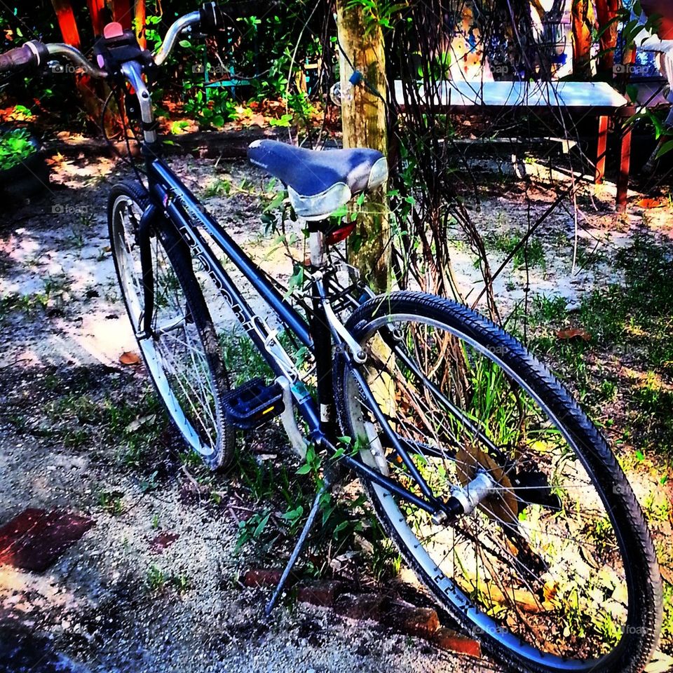 Garden  Bike 