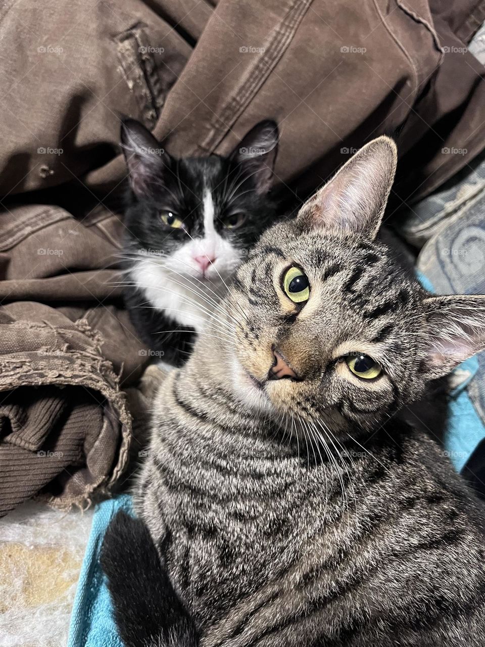 They are literally my life 