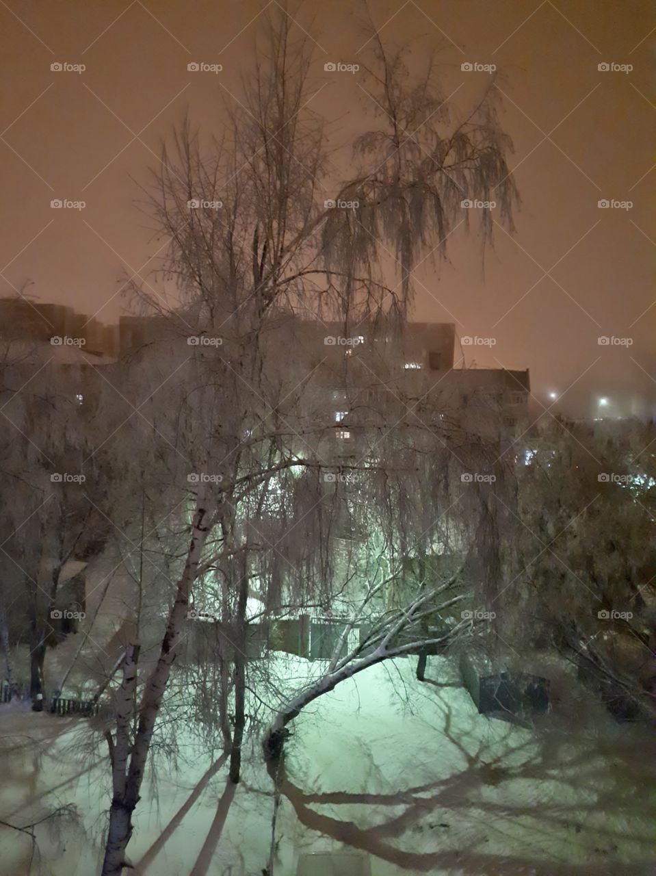 View from the window