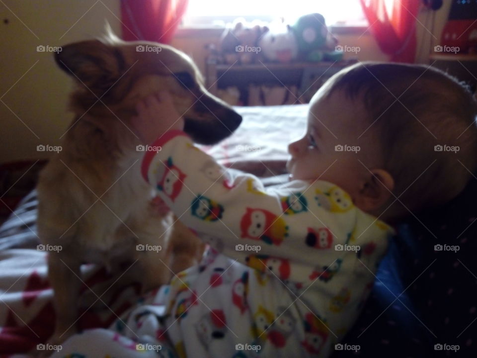 baby and dog