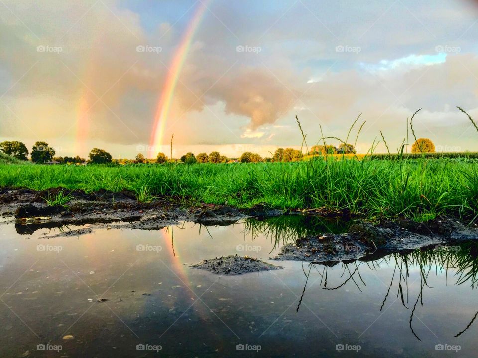 Rainbows reflected 