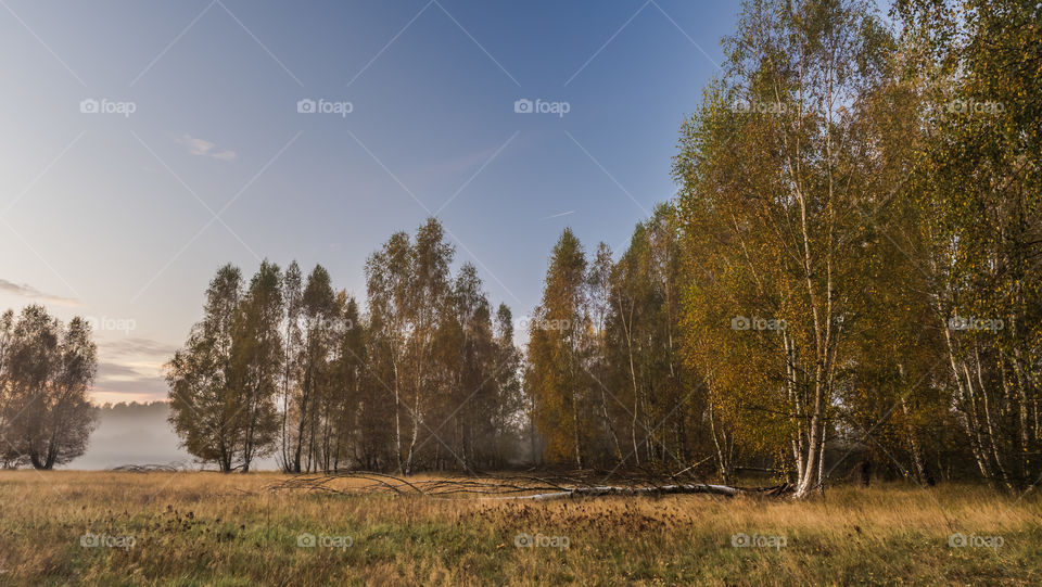 Leszno, Poland