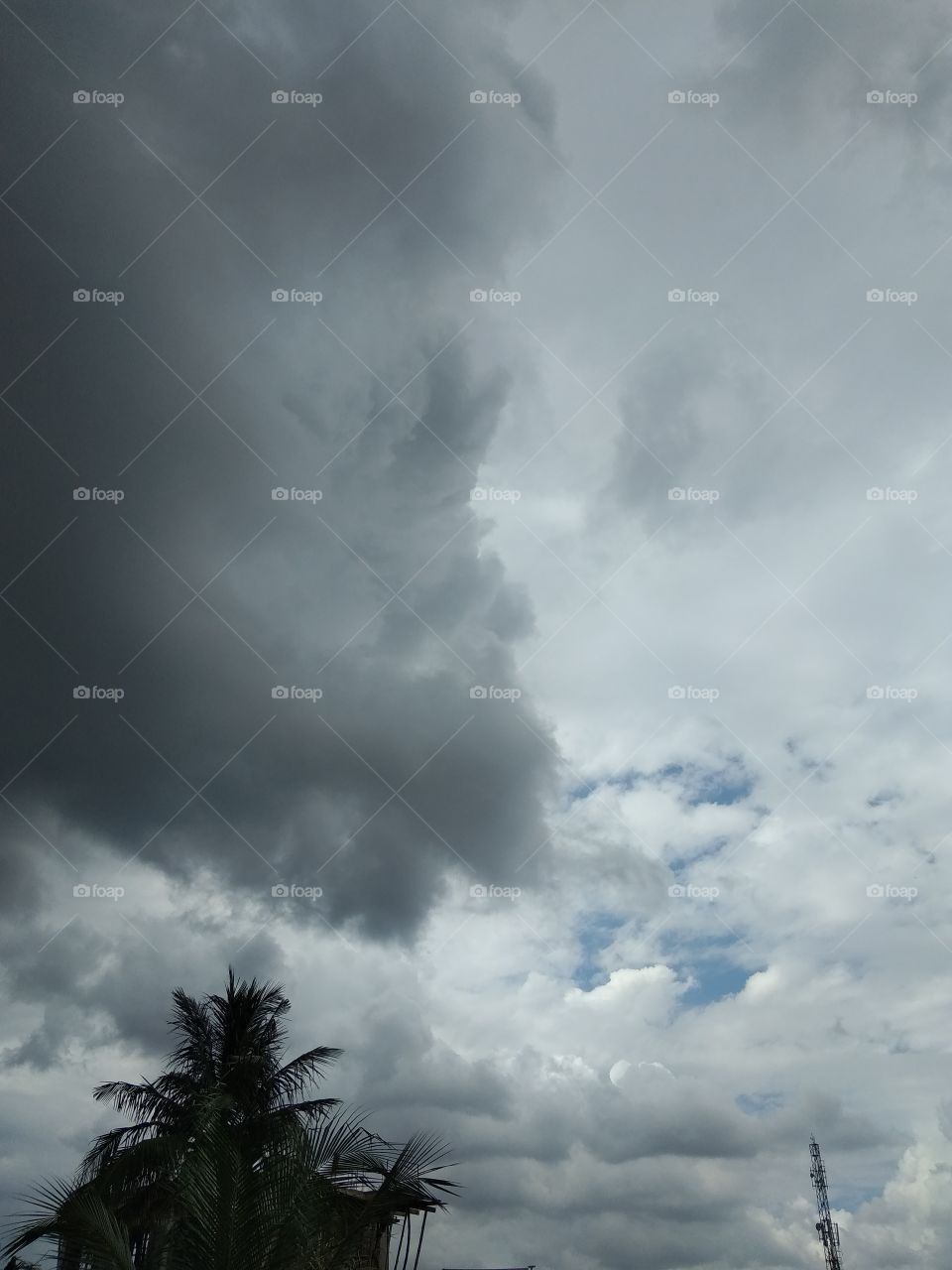 Rainy Days with nature