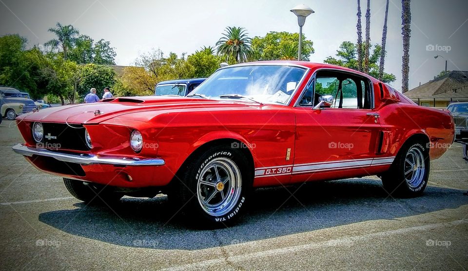 Shelby GT 350