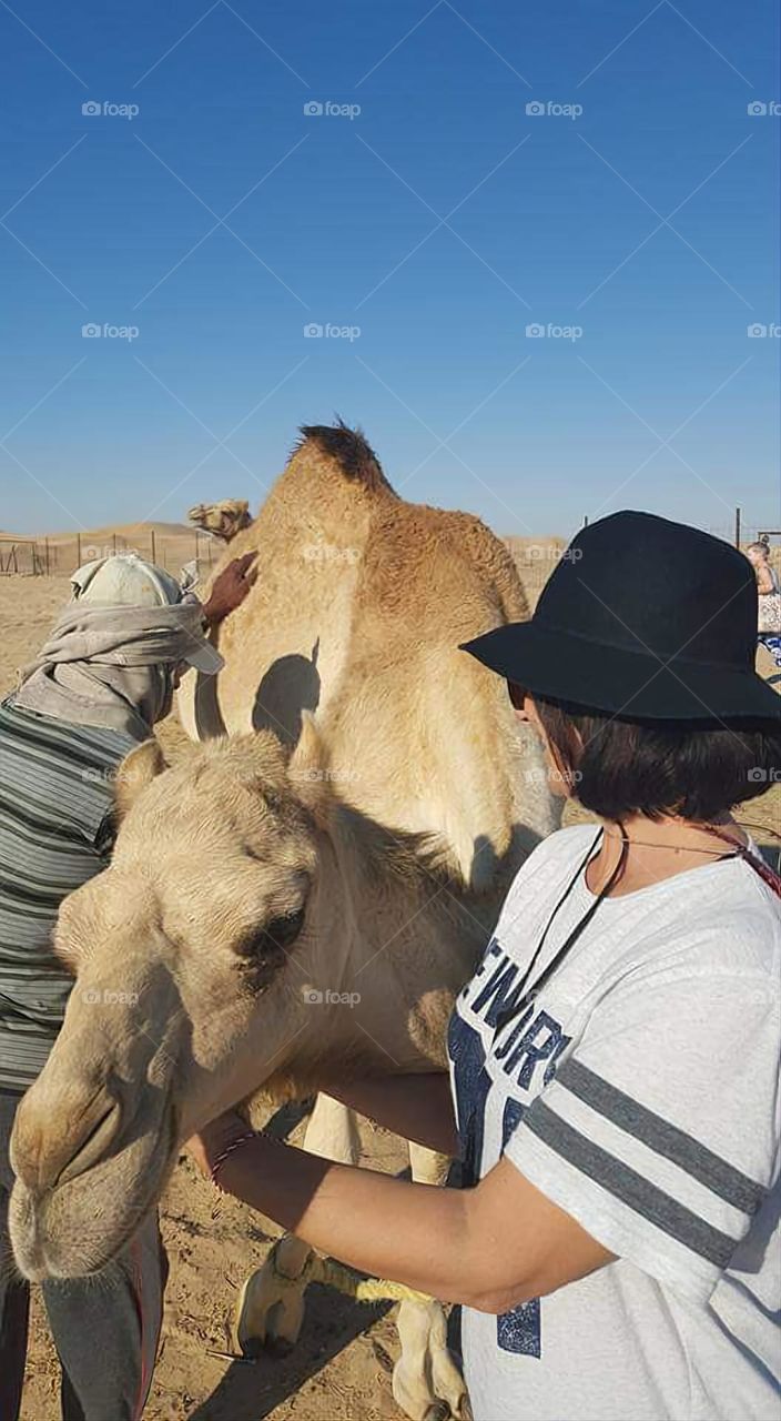 Learning to manage a camel