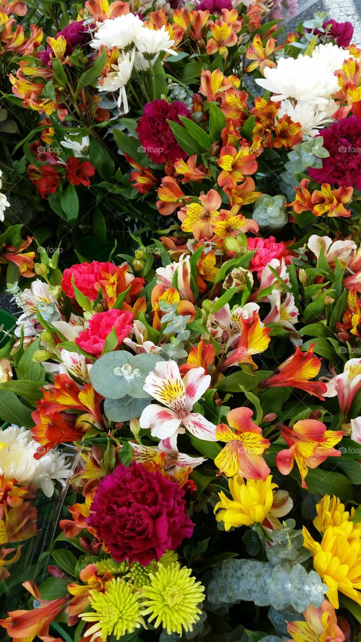 White pink and yellow flowers