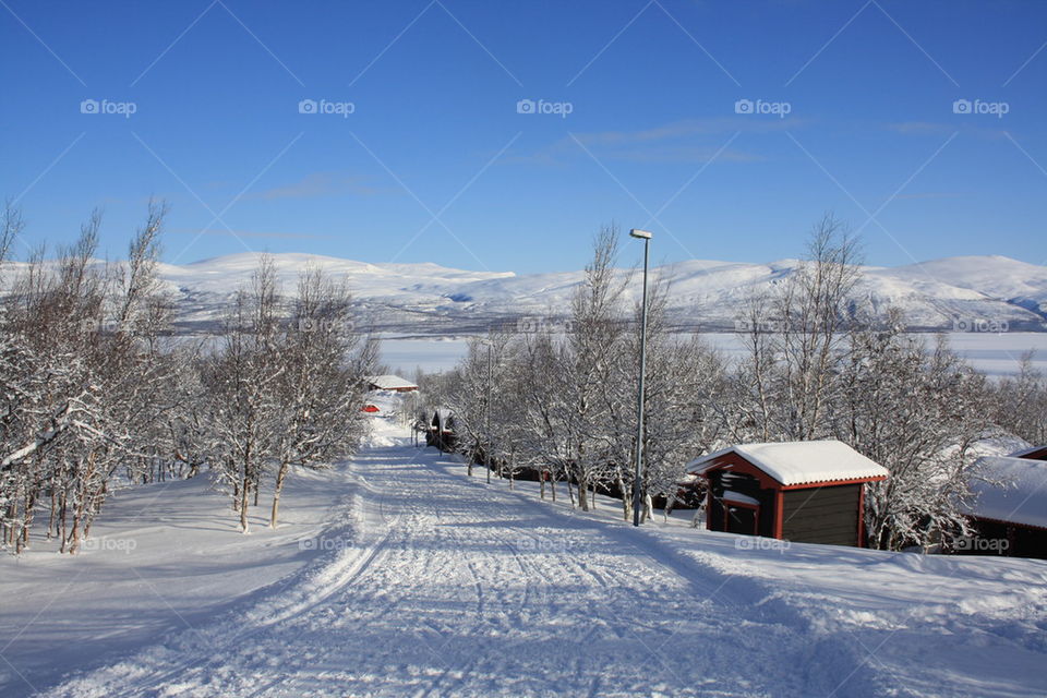 Winter view