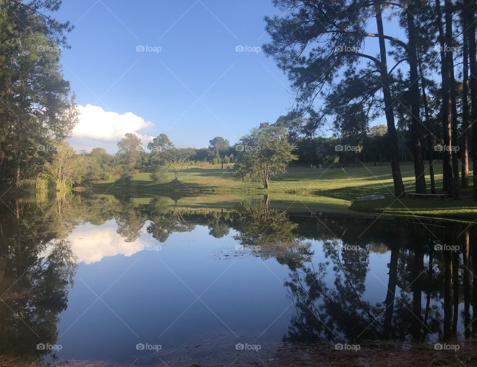 Nature, sky and cloud reflected on a lake