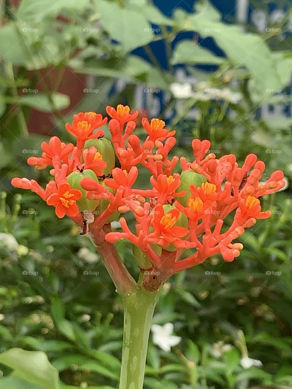 Beauty is everywhere.