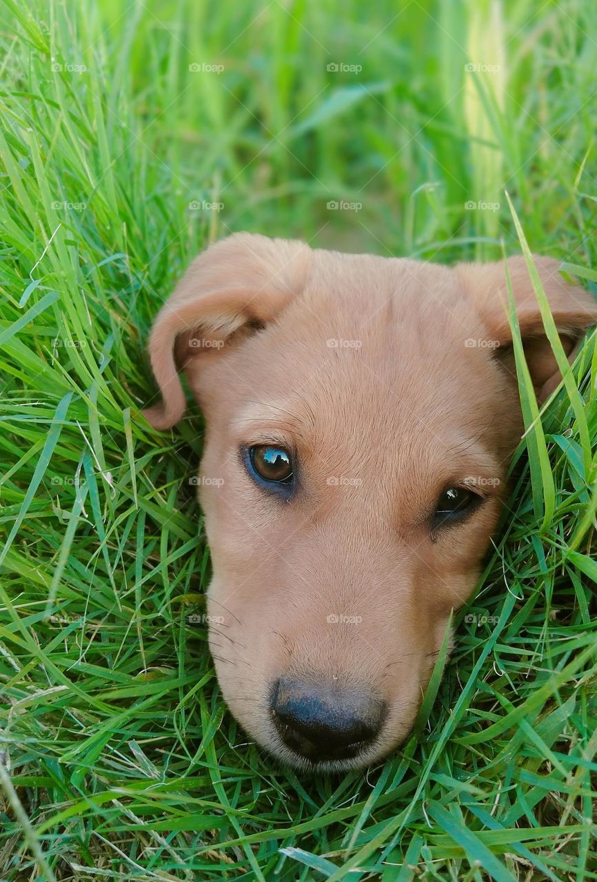 This pic may cause cuteness overload