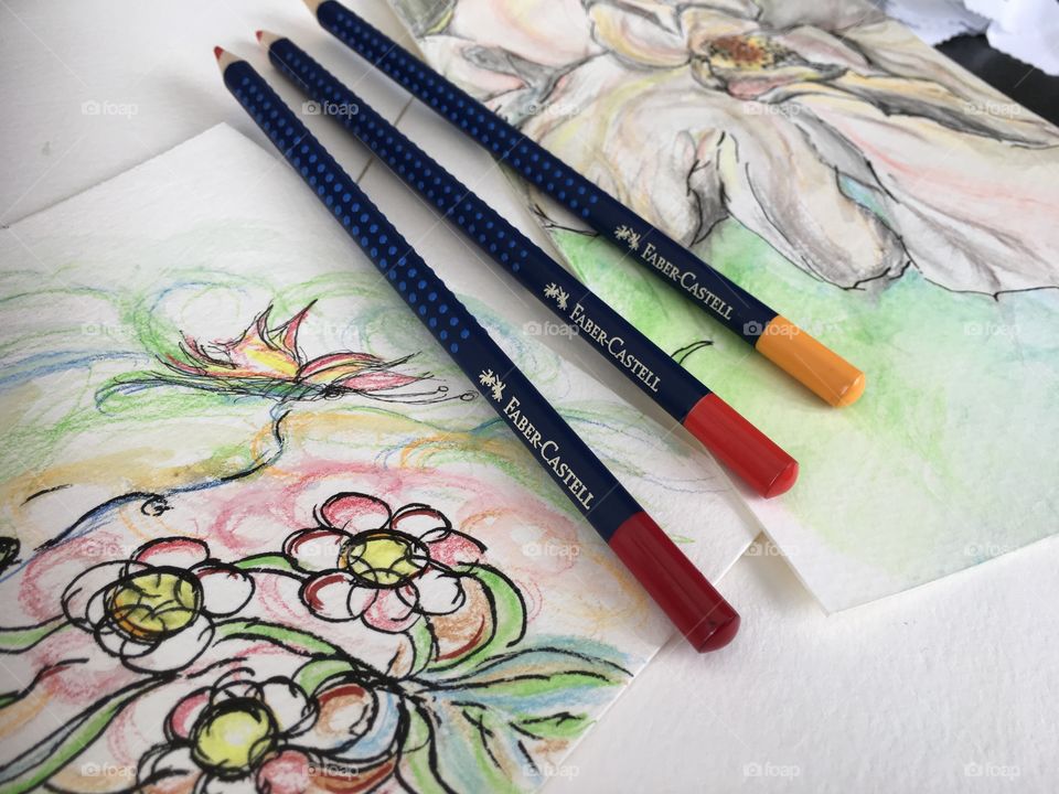 Flowers and nature colors Faber-Castell Aquarelle watercolor sketch art photography 