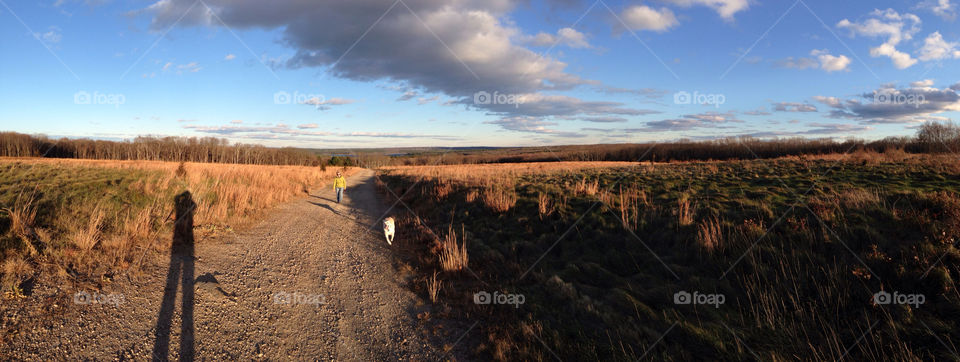 scitiate rhode island field grass shadow by bobmanley