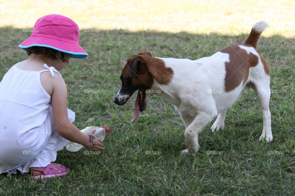 Toddler and Jack Russel dog