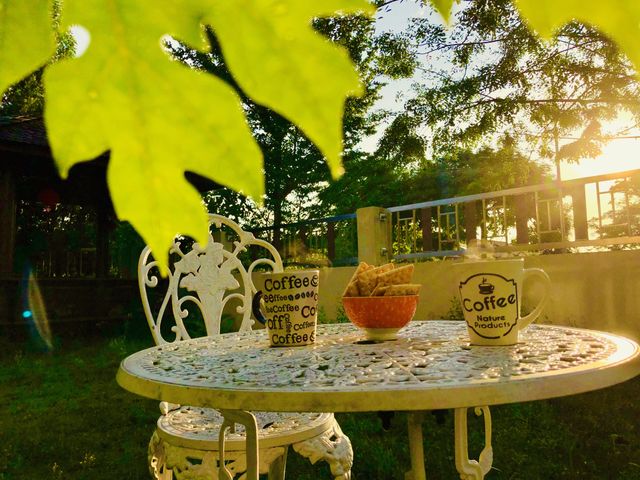 Glory moment of morning sun 