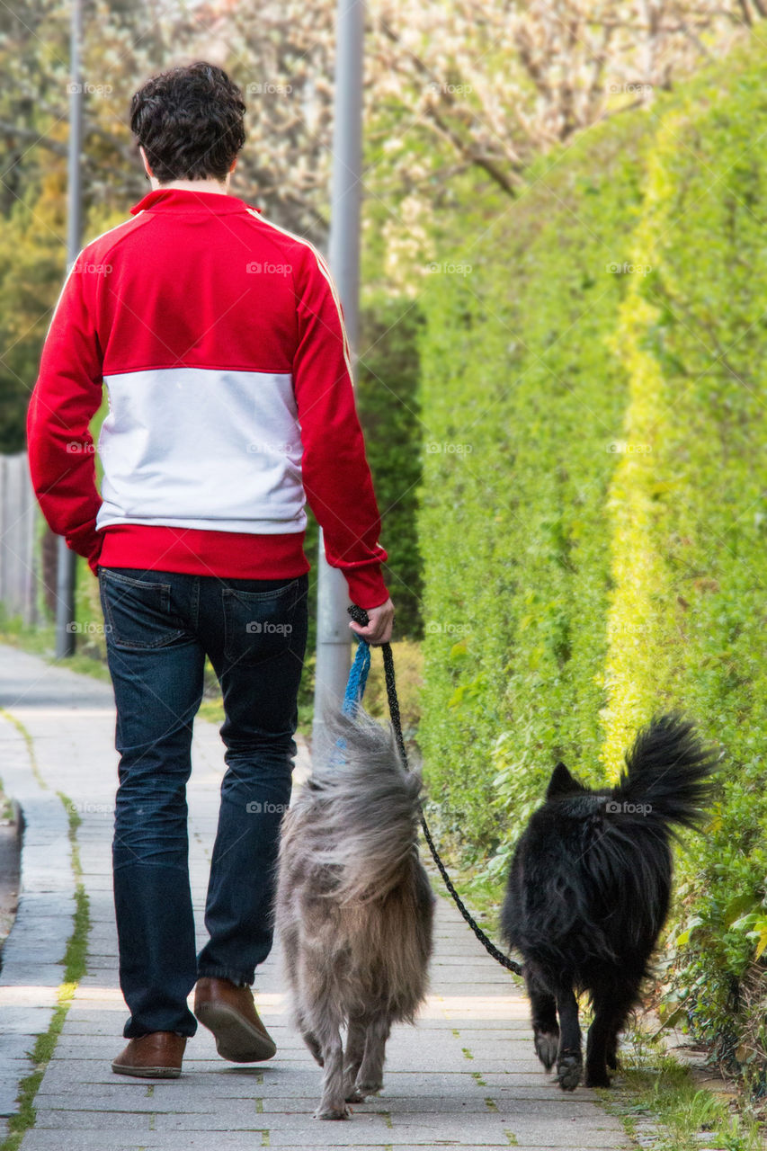 Man walking with his two dogs