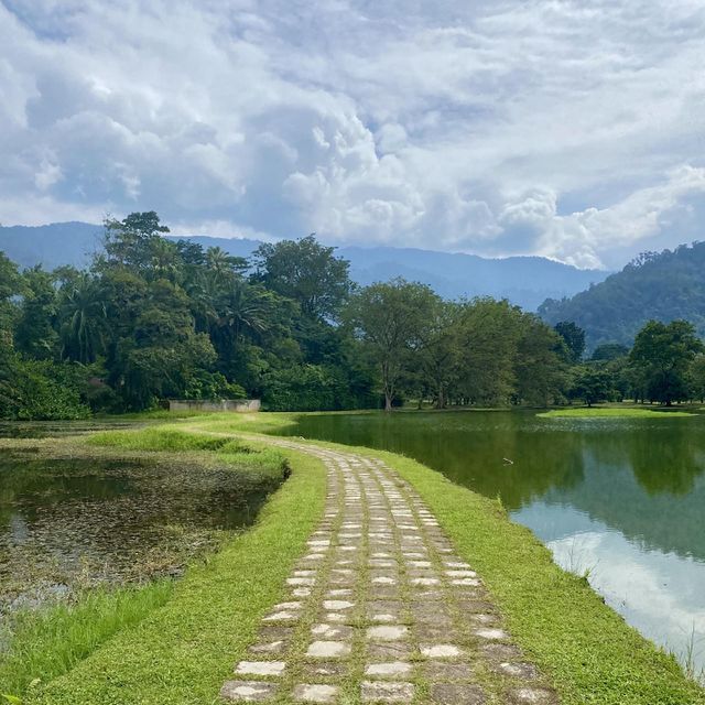 Back to nature
