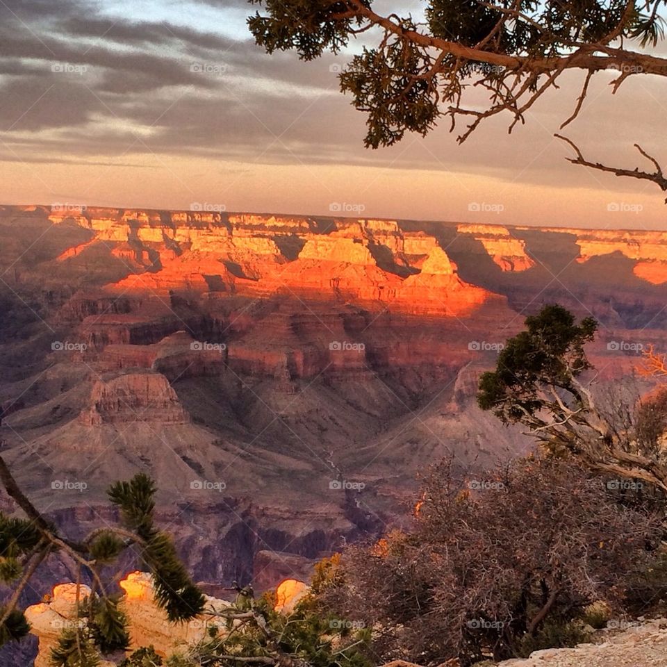 The Grand Canyon at Sunset.