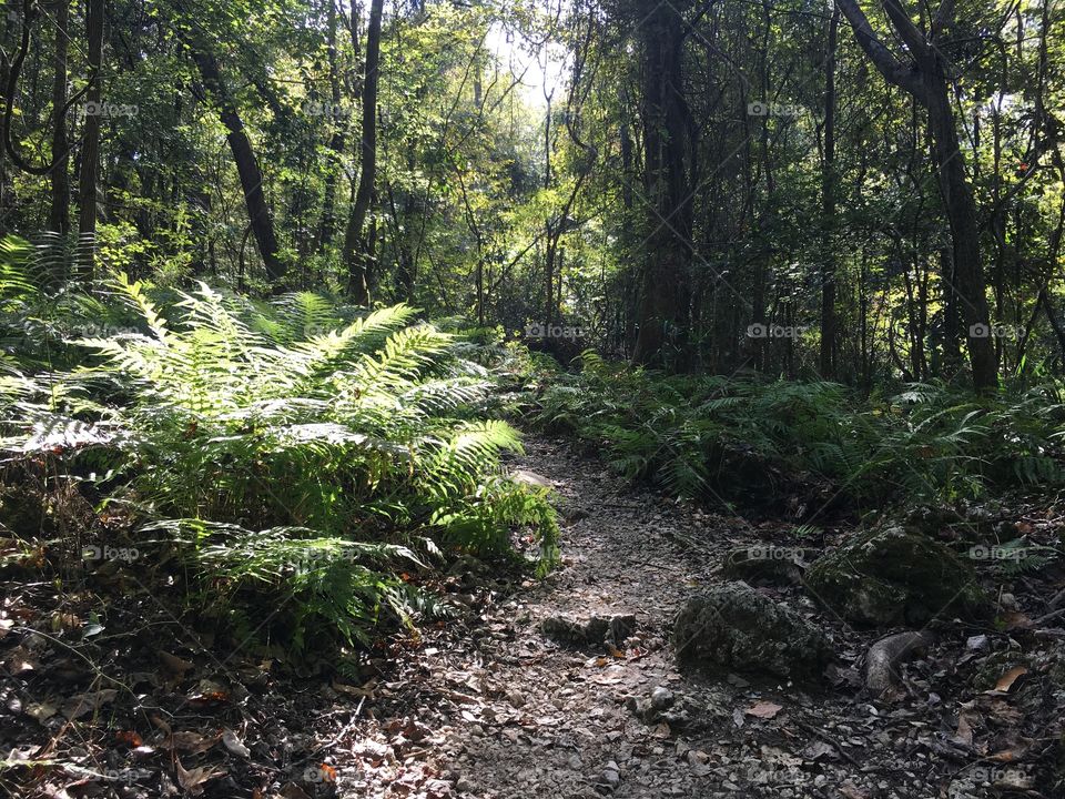 God created a wonderful planet