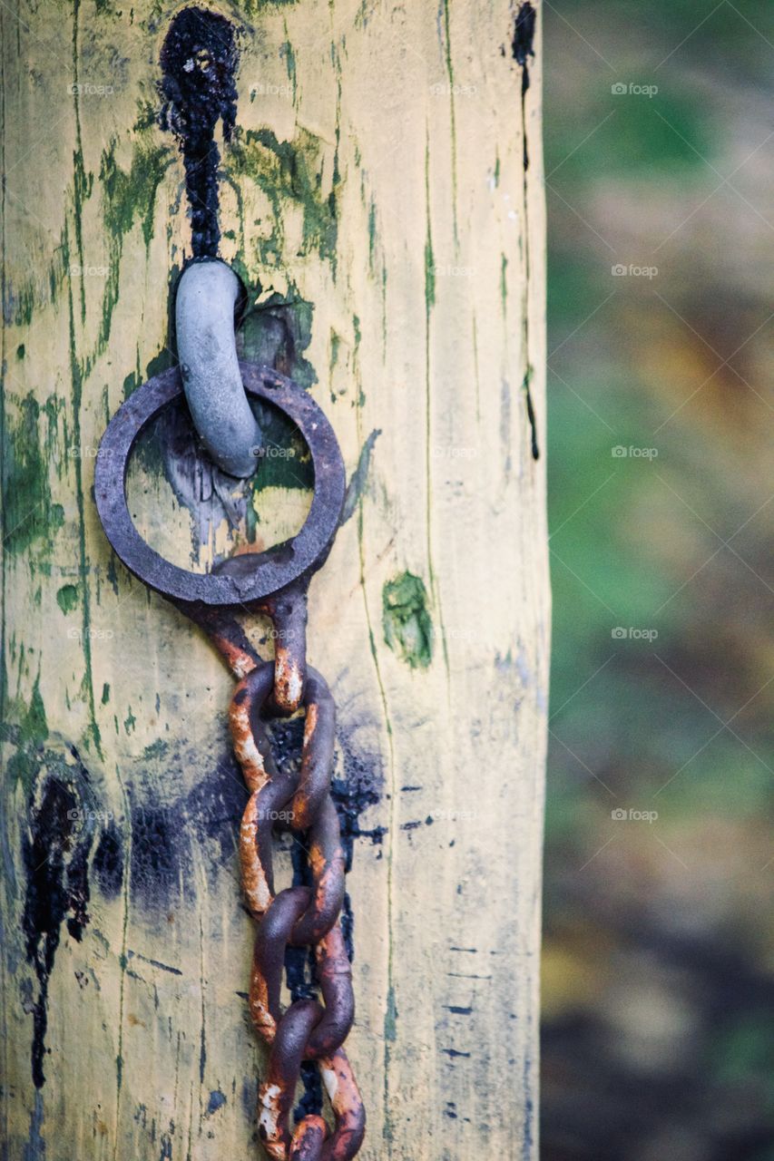 Metal hook and chain