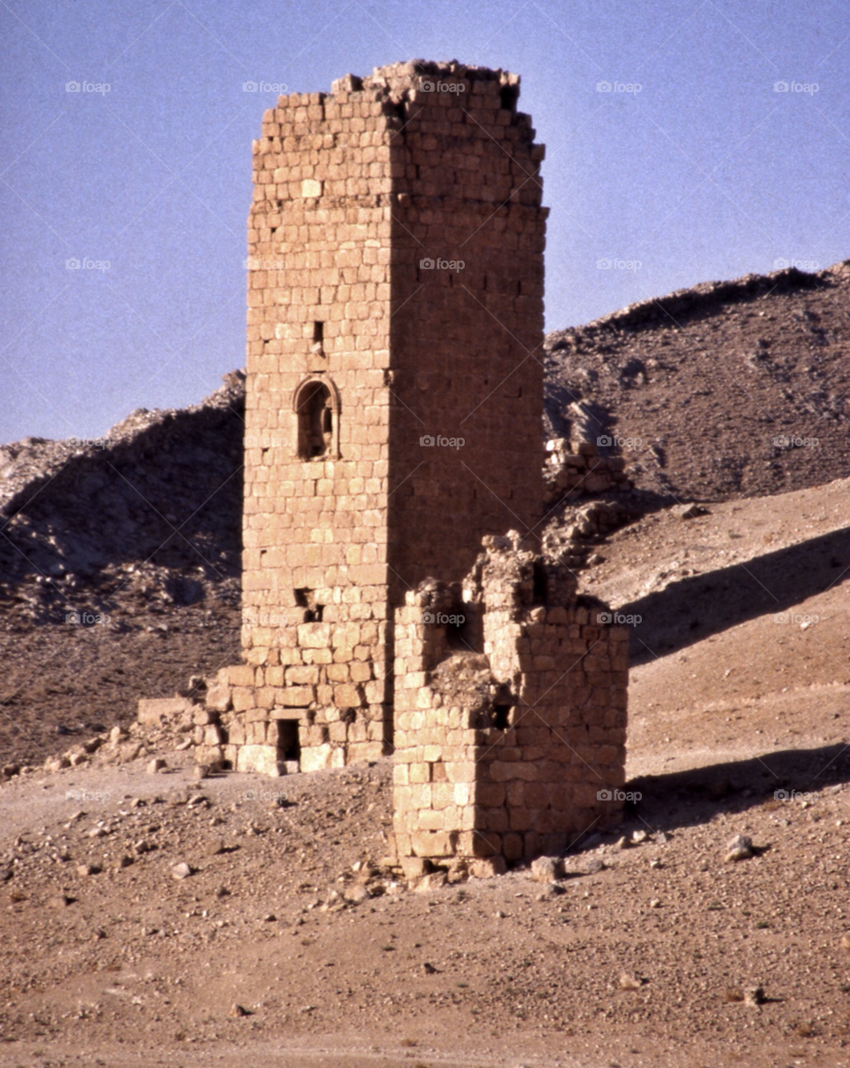 palmyra stone graves desert by pandahat