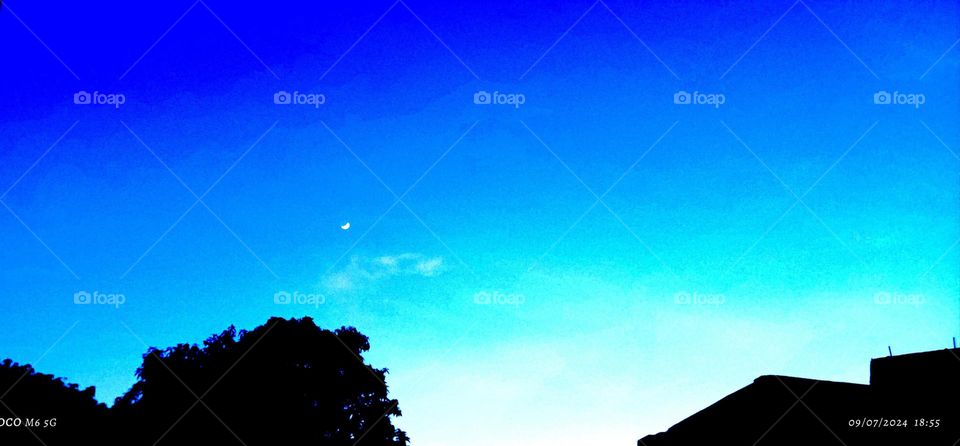 This photograph captures a serene twilight sky with a gradient from deep blue to lighter shades, contrasting with the silhouettes of trees and a building. The crescent moon adds a tranquil focal point, enhancing the peaceful ambiance of the scene.