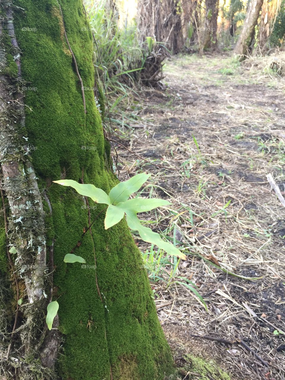 New year, new start. I want to be more in tune with the great outdoors this Jan2018, that’s my greatest New Year Resolution. 