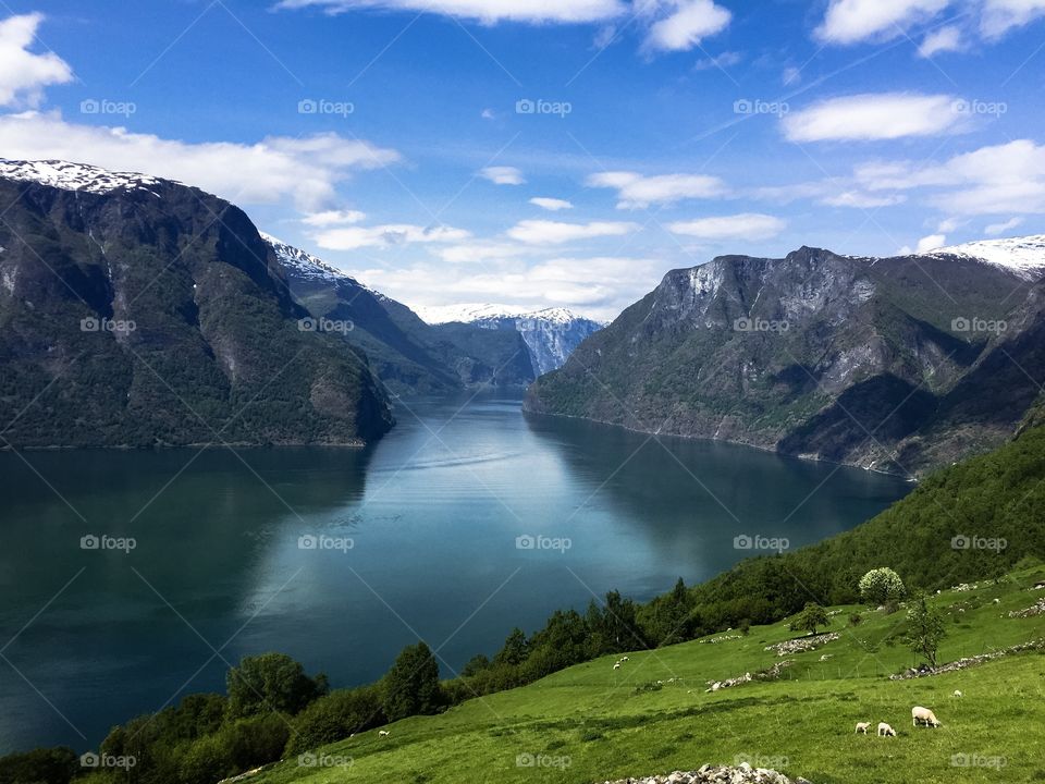 Fjord, Norway 
