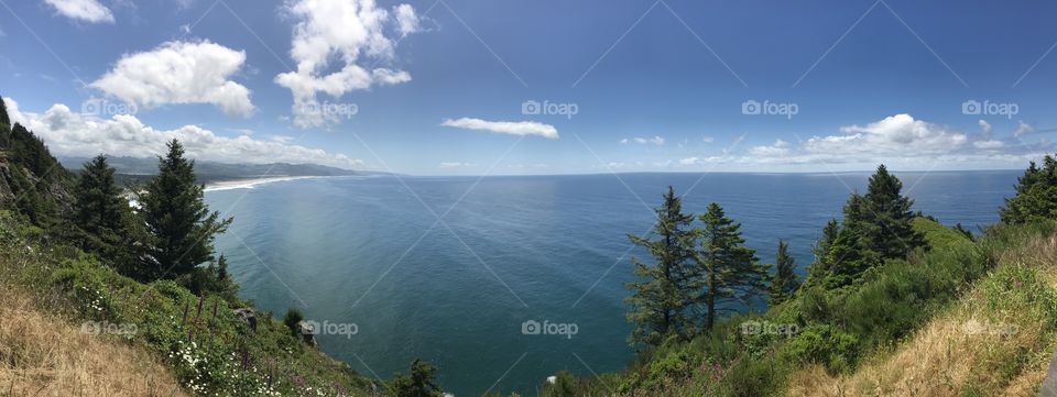 Washington state coastline, water, serene, peace, trees, cliffs, coast