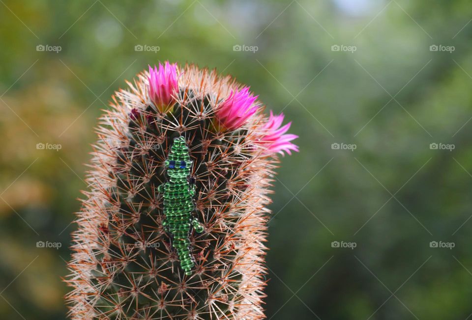 blooming cactus flowers and crocodile 🐊 figure from beads green background