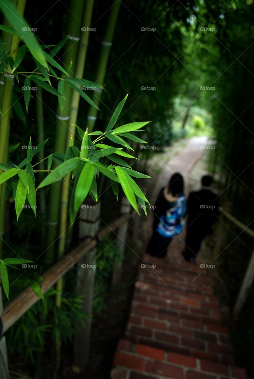 Couple walking in a garden