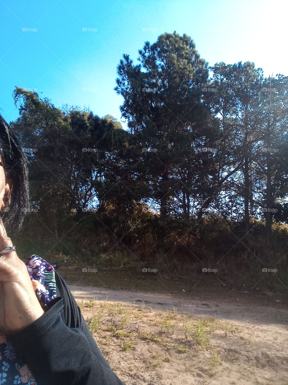 Contemplando a Natureza