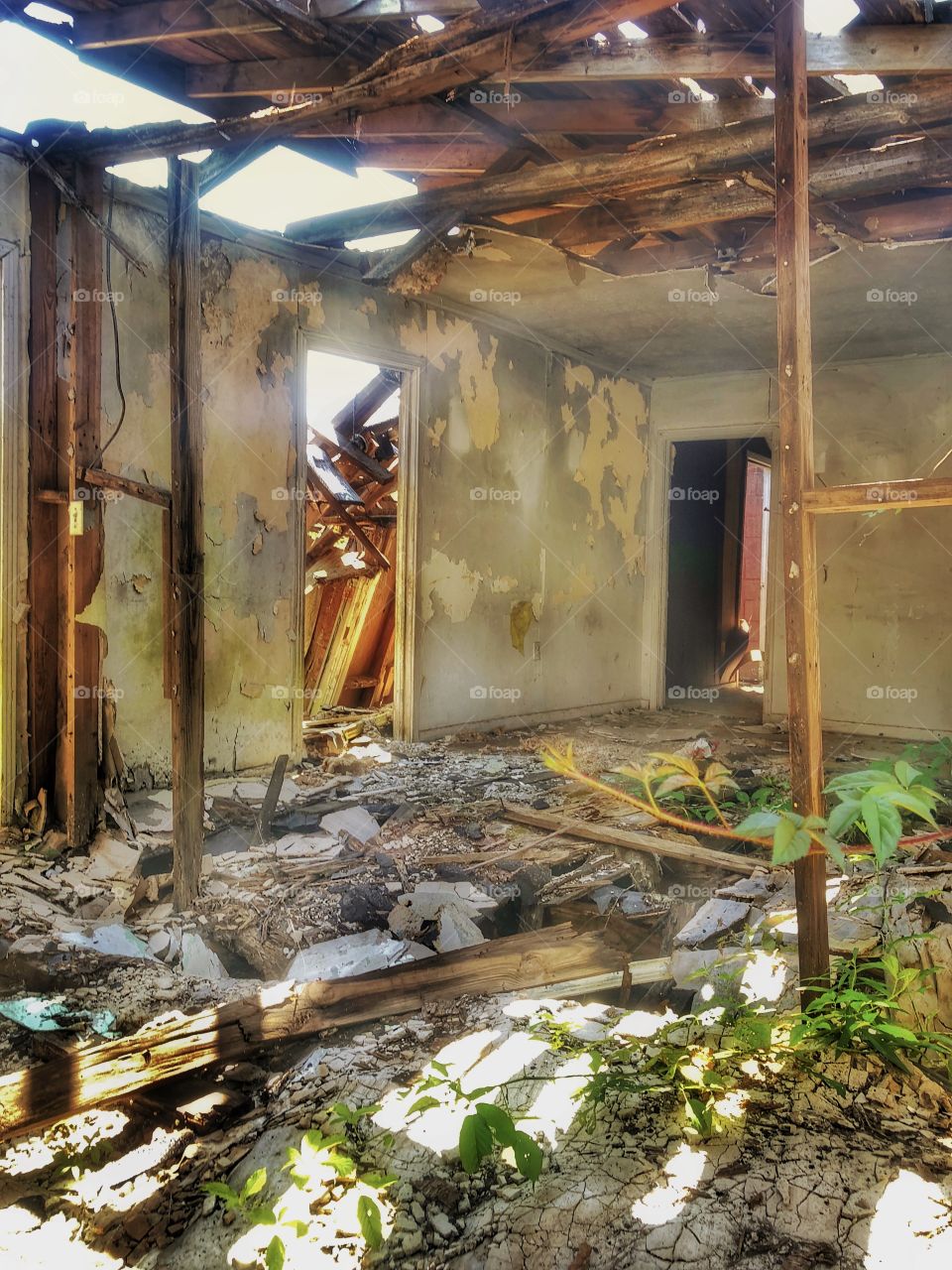 Abandoned and Gutted 2