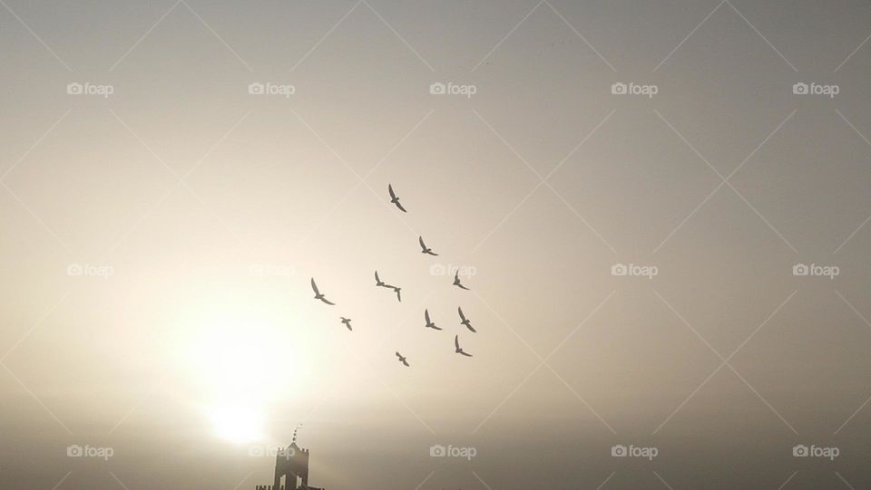 Behind the minaret  are flocks of pigeons flying in the sky depositing the sunset