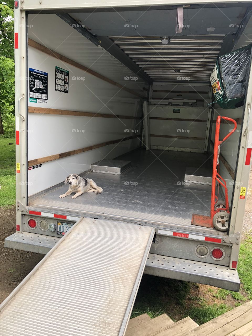 Moving day